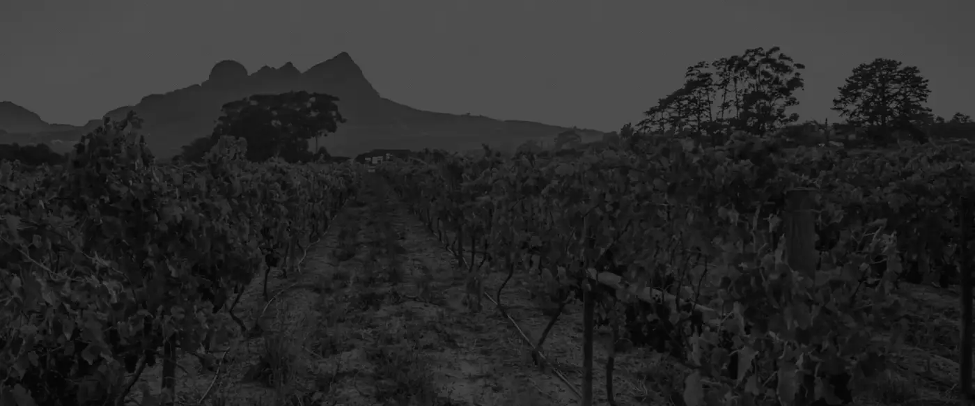The Sieraad Syrah against its Helderberg backdrop